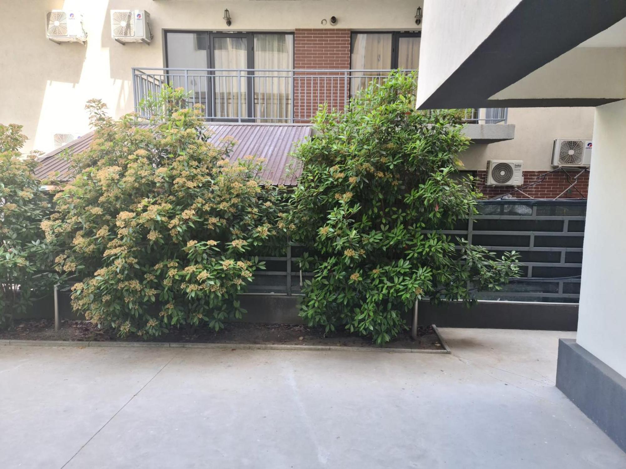 Apartament Deea Năvodari المظهر الخارجي الصورة